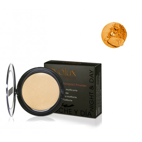 Matifying Compact Powder 48