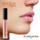 Lip Gloss voluminizador Evolux