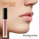 Lip Gloss voluminizador Evolux