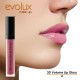 Lip Gloss voluminizador Evolux