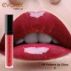 Lip Gloss voluminizador Evolux
