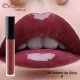 Lip Gloss voluminizador Evolux