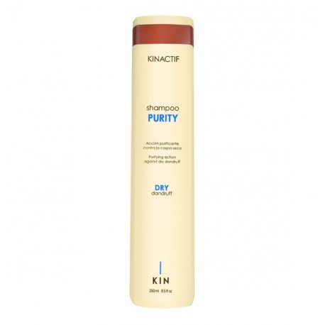 Purity Dry Champú